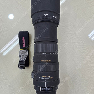 시그마 APO 150-500 캐논마운트 장망원렌즈