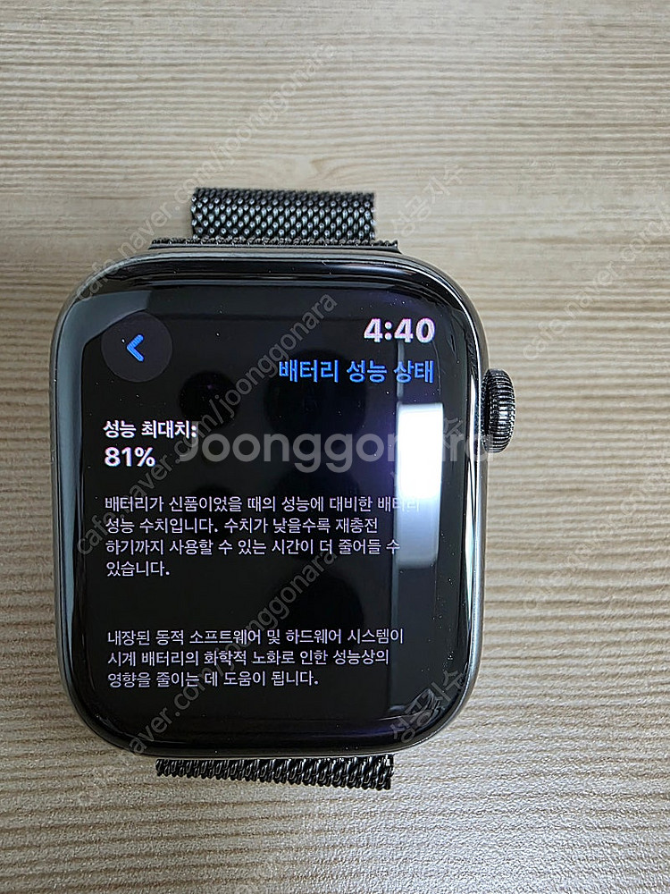 애플워치7 그래파이트 셀룰러 45mm / 밀레니즈루프--3