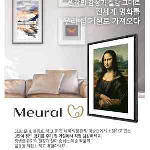 넷기어 뮤럴 디지털 액자 캔버스 Netgear Meural Digital Canvas 21.5인치 팝니다