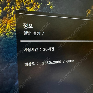LG 듀얼업 모니터 28MQ780 신동급 판매
