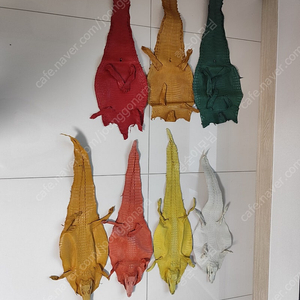 장식용 악어 가죽