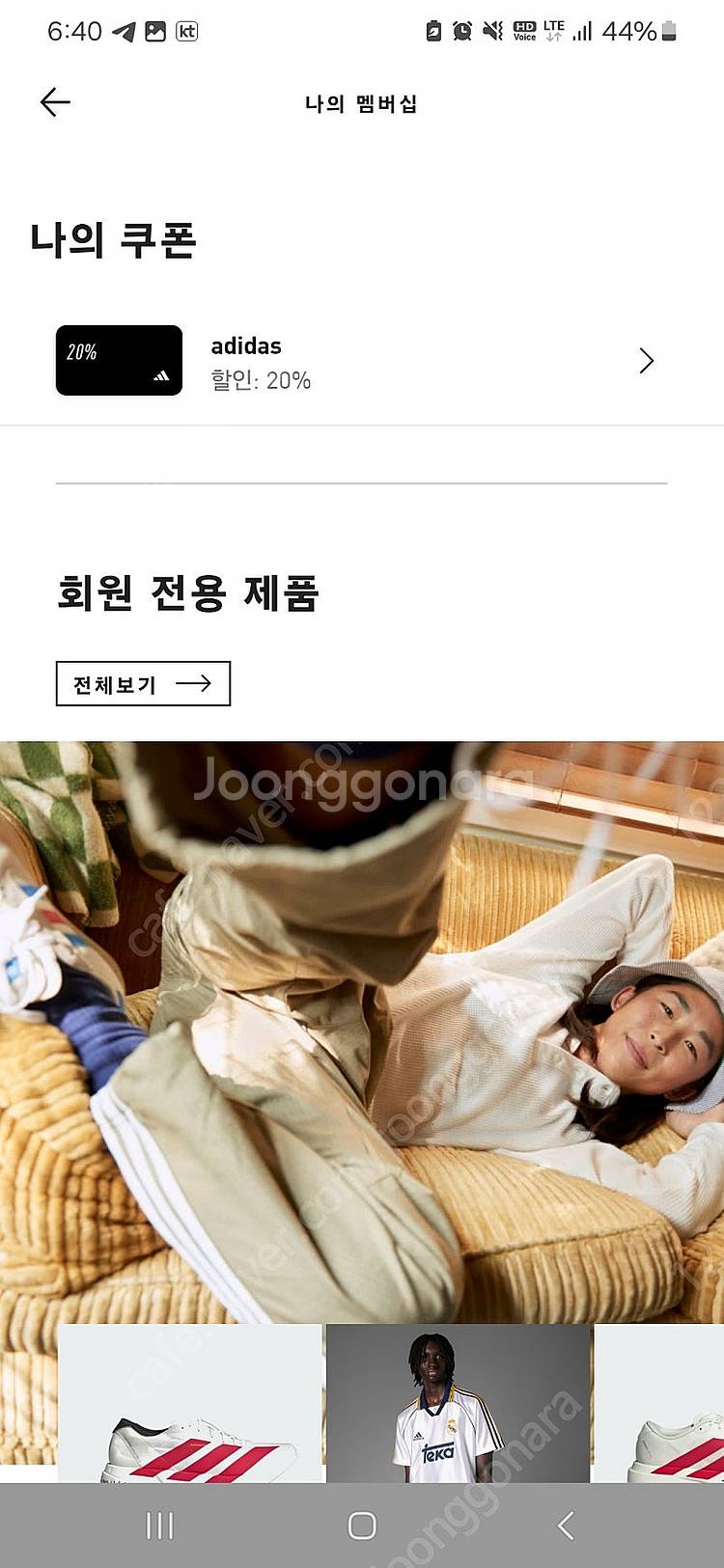 아디다스 생일쿠폰20%--0