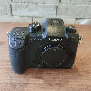 파나소닉 루믹스 gh5 + Vlog l
