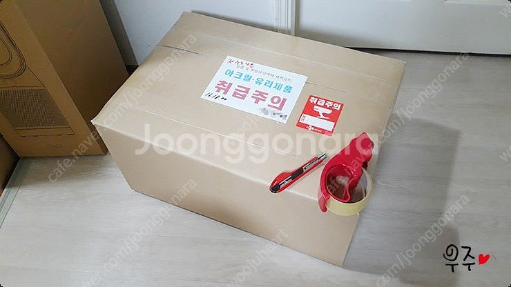 블루베리 수동선별기 판매--9