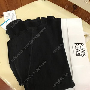 플리츠플리즈 미스트 / 이세이미야케