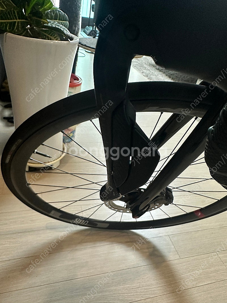 위아위스 CUL9 xxs사이즈--8