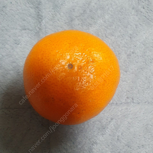 롯데리아 데리버거