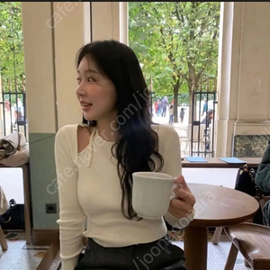 릴리코츠 리앙홀터