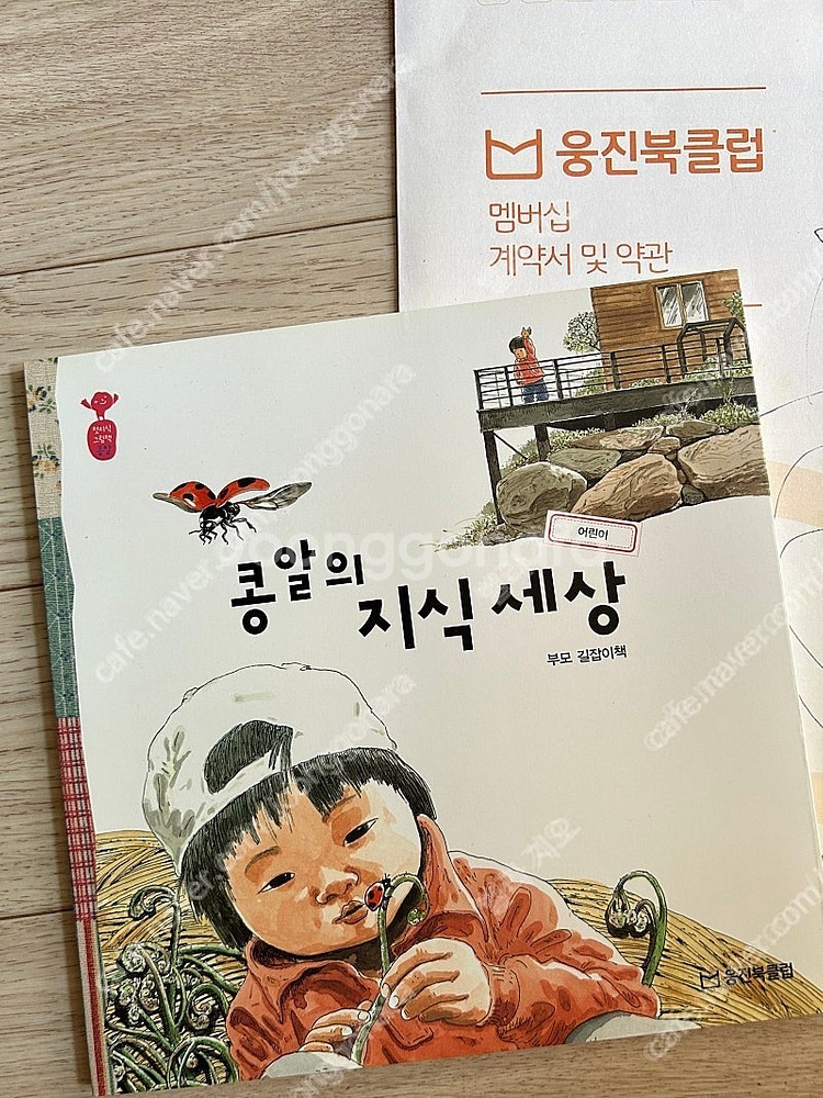 웅진북클럽 첫지식그림책 콩알 어린이 총 34권+부모길잡...--2