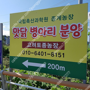 중형 자동 부화기 청주