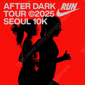 나이키 애프터 다크 투어 우먼스 레이스 (양도 받기 원해요