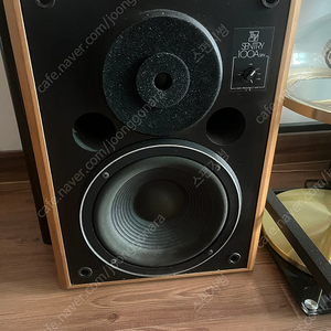 Ev sentry 100a sfv 스피커