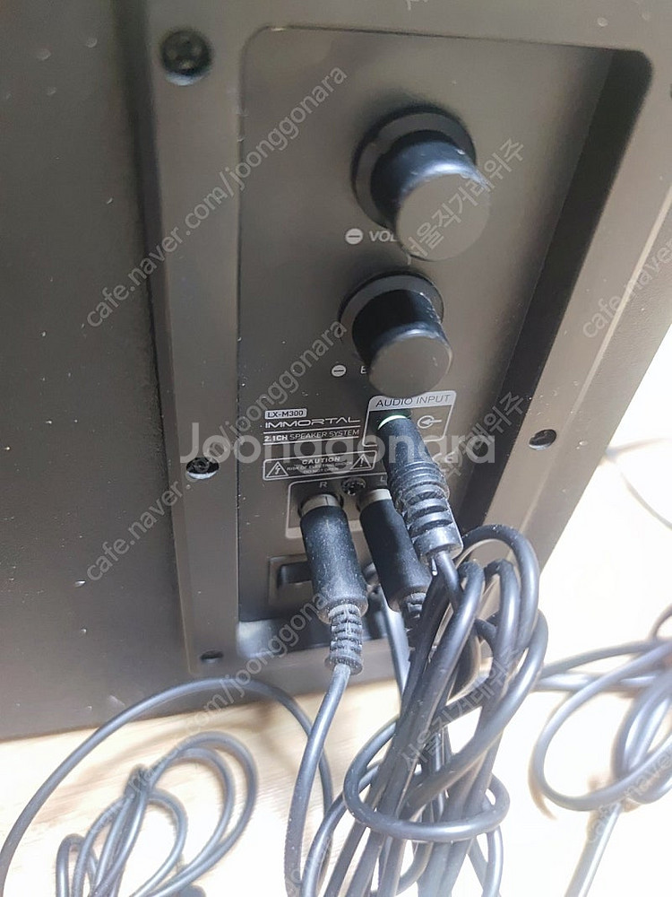 캔스톤 LX-M300 Immortal 2.1채널 스피커--1