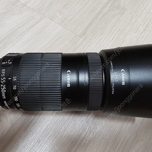 캐논 efs 55250 헝그리망원 STM 팝니다.