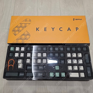 SPM 3색조합 PBT 이중사출 키캡 몬스테라 그린 168키