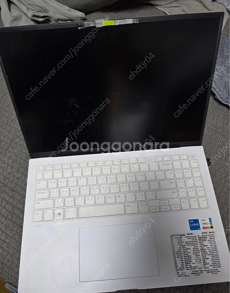 LG그램2023 SSD (256gb 2개) 16zd90...--0