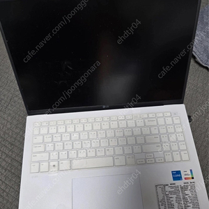 LG그램2023 SSD (256gb 2개) 16zd90ru-gx56k