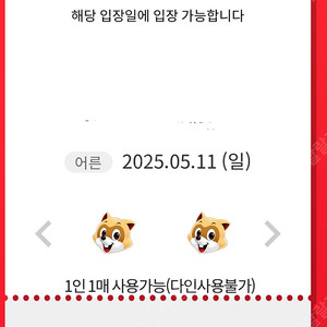 롯데월드 매직패스 5월 11일 일요일 5회권 2장