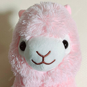 알파카 봉제 인형