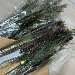 천연 공작새 깃털(새상품)약100개~100개이상
