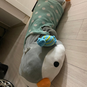 에버랜드에서 구매한 펭귄인형 삽니다!