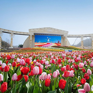 거제오션어드벤처/서울랜드/양양,삼척,단양,델피노 오션플레이 할인