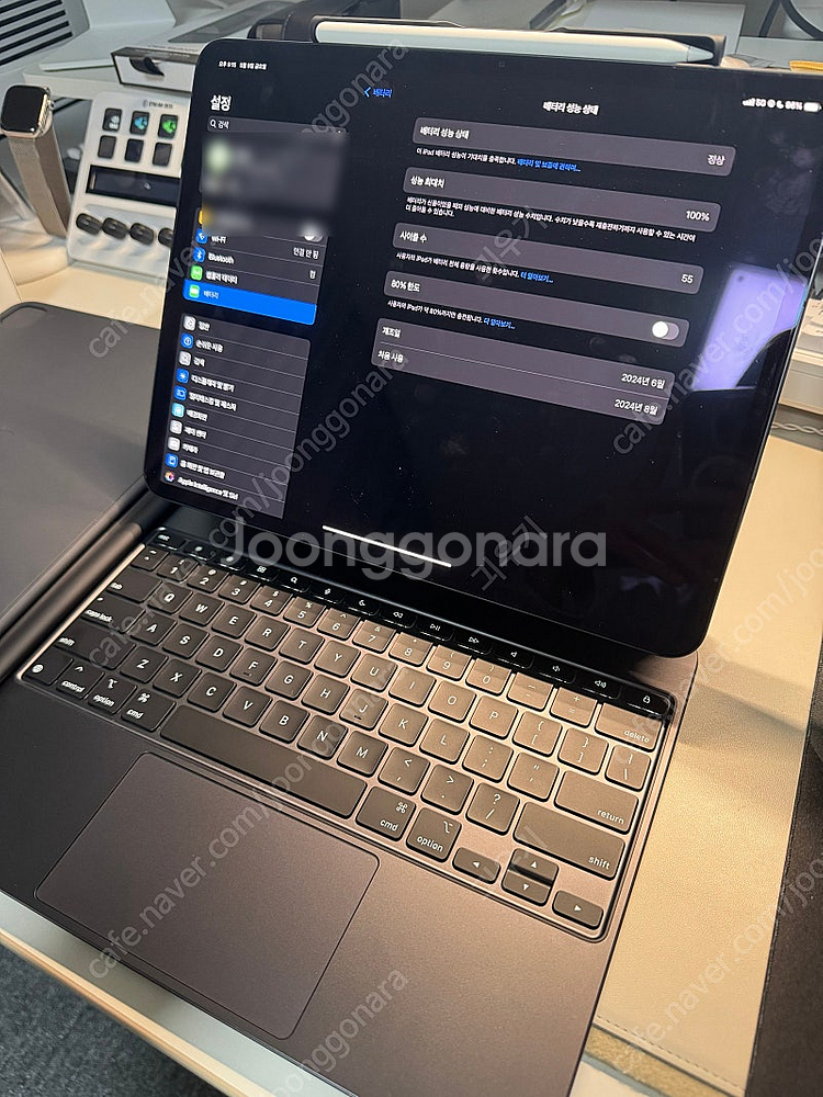 아이패드 프로 M4 13 256G 셀룰러 풀세트 매직키...--1