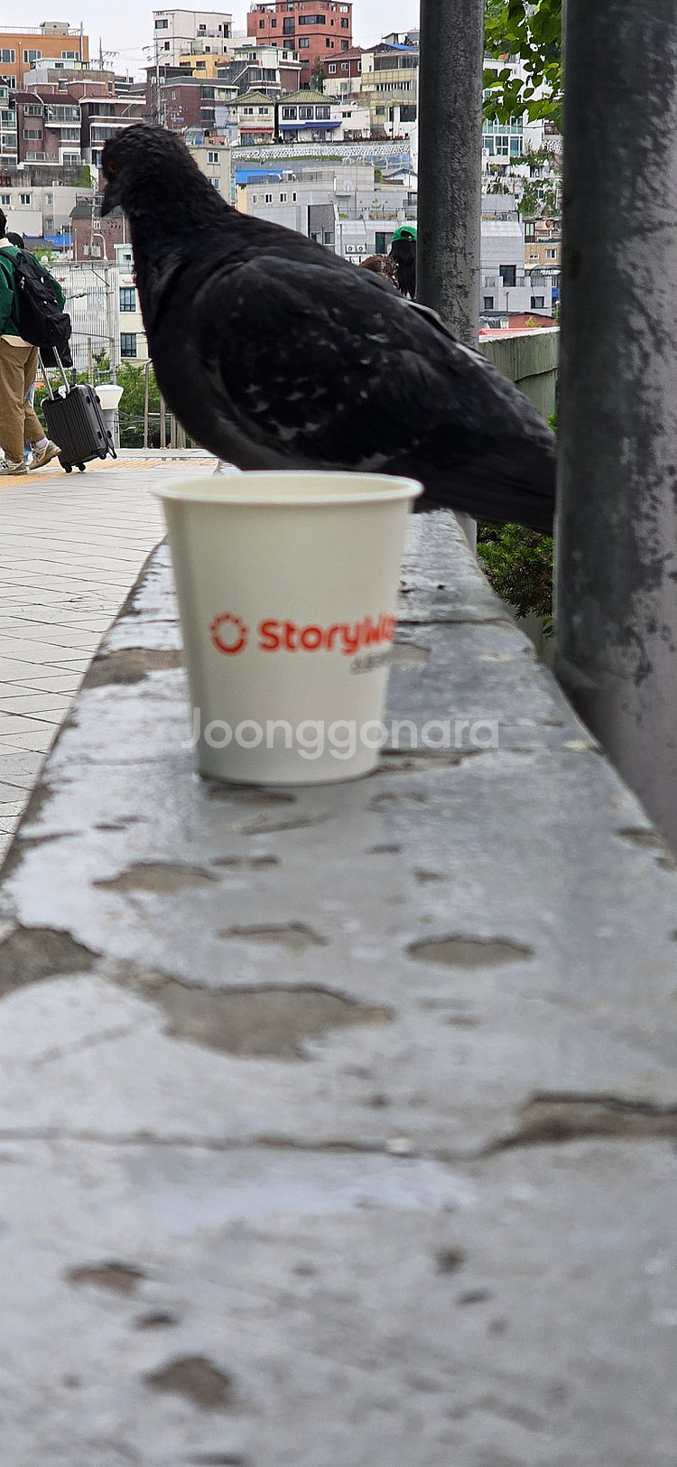시그마 50-100mm sa마운트 삽니다--0