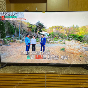 프리즘 CP65G5Q 165cm 구글5.0 스마트 4K QLED TV 120Hz
