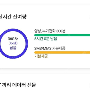 skt 2기가