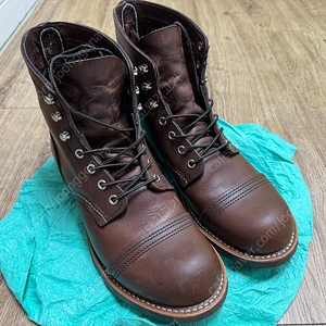 레드윙 8111 아이언레인저 앰버하니스 260mm
