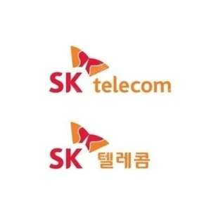 SKT 데이터 2GB