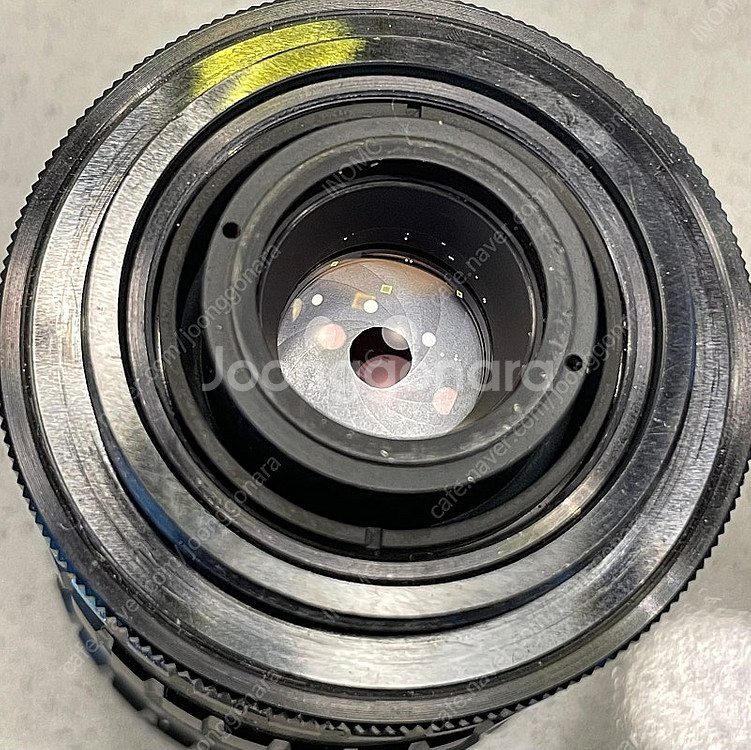 M42 보케 퀸 ISCO WESTANAR 135mm--6