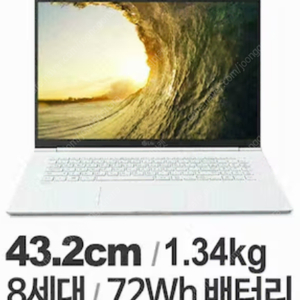 LG 그램 17인치 [17Z990 i5]