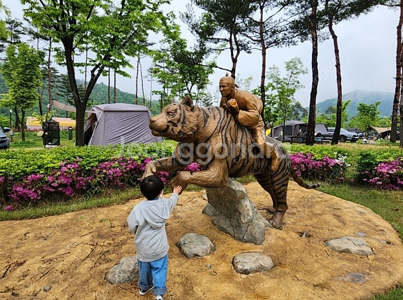 오늘 10일 토요일, 삼강나루 캠핑장 1박 (4만->1...--4