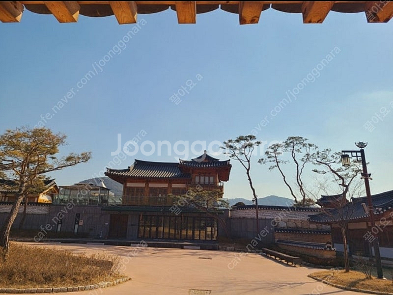 오늘 10일 토요일, 삼강나루 캠핑장 1박 (4만->1...--6