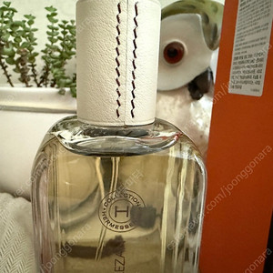 에르메스 에르메상스 오우드 알레잔 100ml