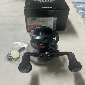 스티레100pg 윤성정품