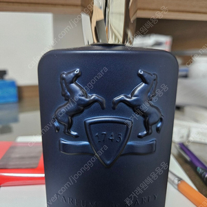 퍼퓸드말리 레이튼 200ml 국문