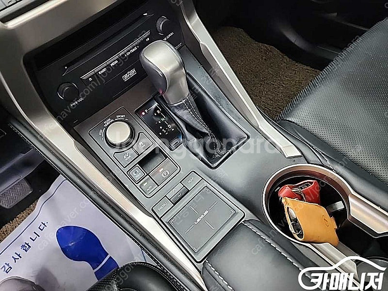 [렉서스]NX 300h 이그제큐티브 (5인승 /0톤) ...--8