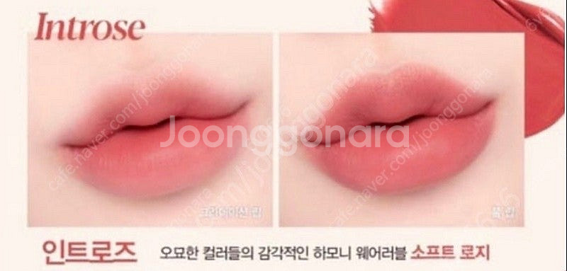 에스쁘아 노웨어 틴스틱 인트로즈--0