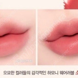 에스쁘아 노웨어 틴스틱 인트로즈