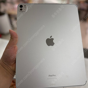 아이패드 프로13 m4 셀룰러 256g