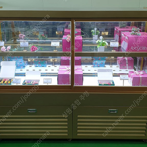 카페용 앞1단뒤2단 저온콤프 UV접합, 마카롱 샌드위치 디저트 냉동냉장 쇼케이스 BKC 등등 정육숙성