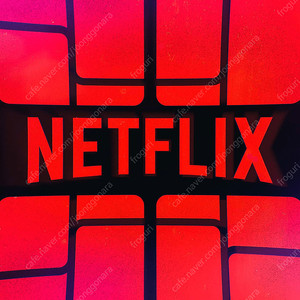 넷플릭스 디즈니플러스 Netflix Disney+ 유튜브프리미엄 파티원 구합니다