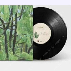 잔나비 lp 검정치마 lp 교환