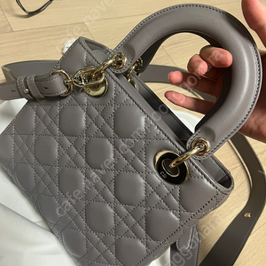 디올 레이디백 스몰