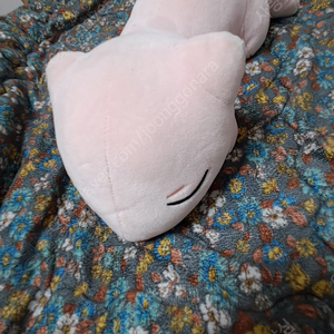 포켓몬 뮤 인형 팝니다