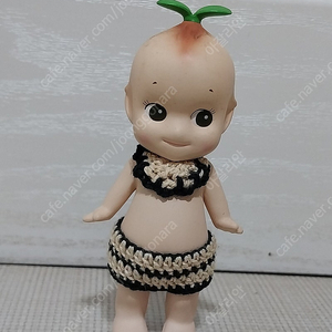 소니엔젤 시크릿 새싹