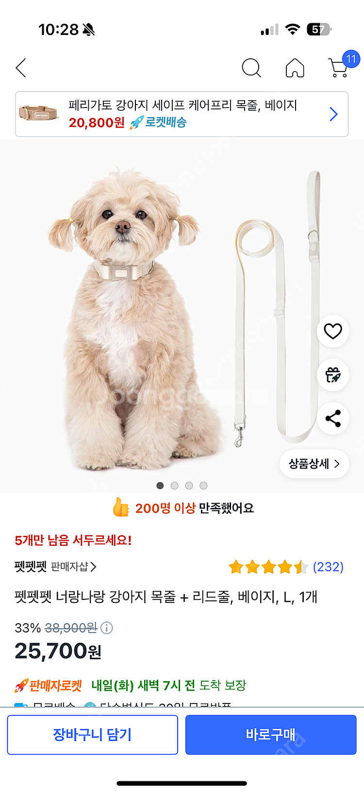 강아지 목줄+리드줄 L사이즈 (하루사용)--0